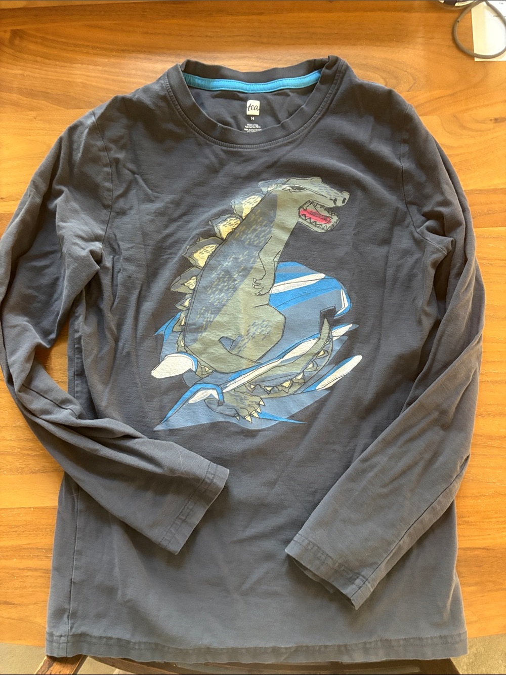 Tea Collection Boys' Navy Long Sleeve Tee with Dinosaur Surf Graphic
